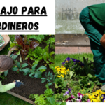 SE REQUIEREN JARDINEROS Jardineros